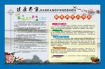 中国风健康养生宣传栏