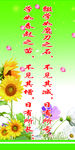 学如春起之苗