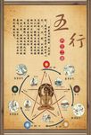 中医养生文化