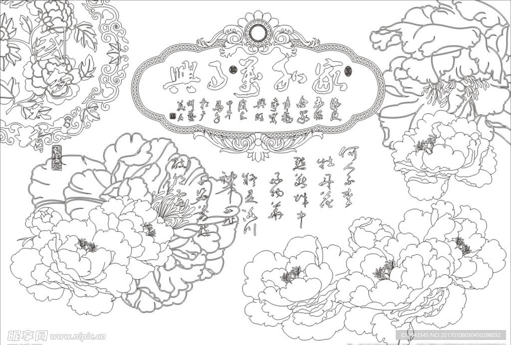 牡丹