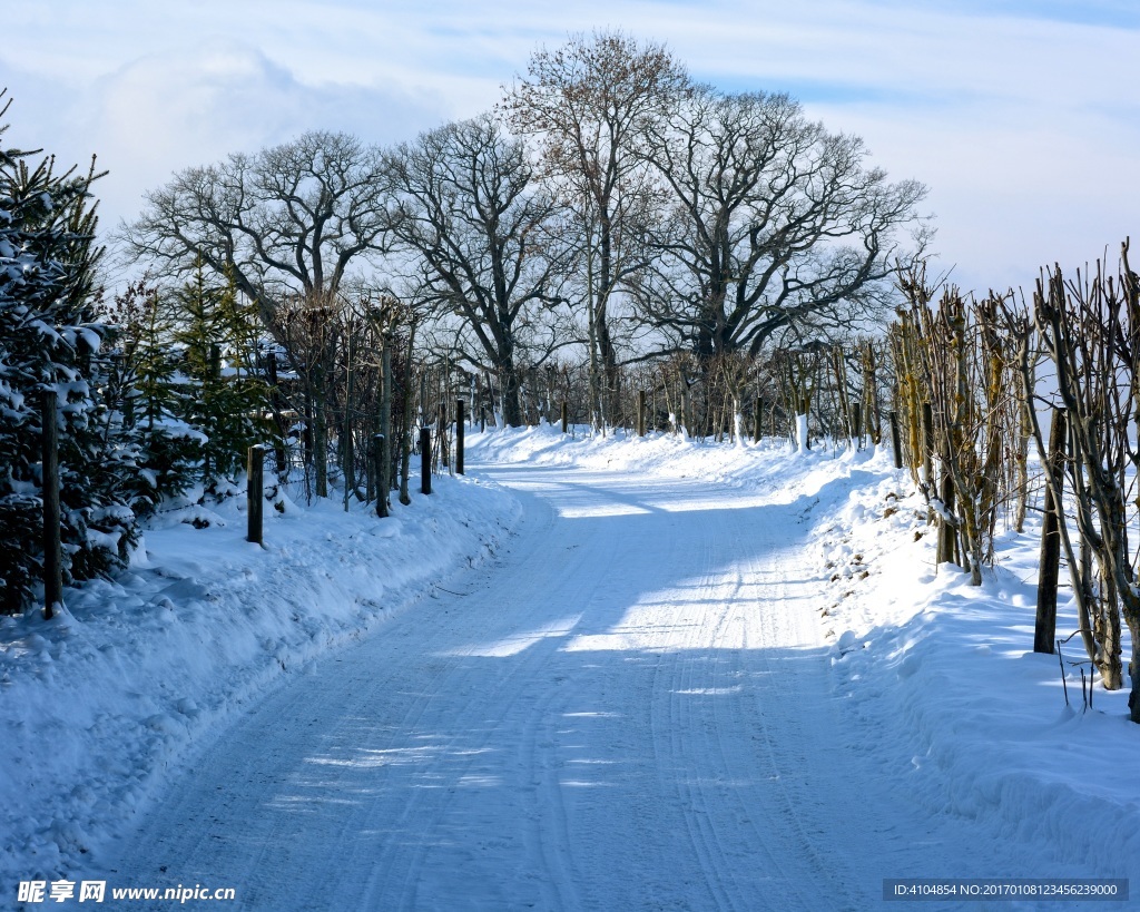 雪中道路