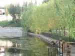 公园 河边