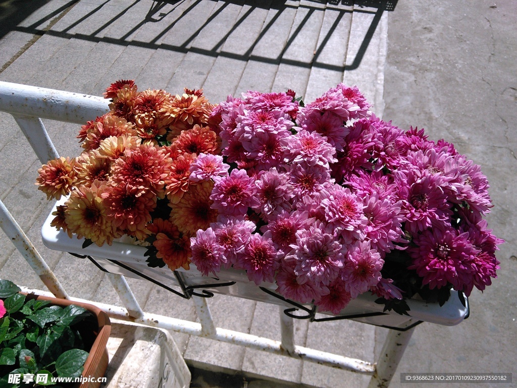 小花