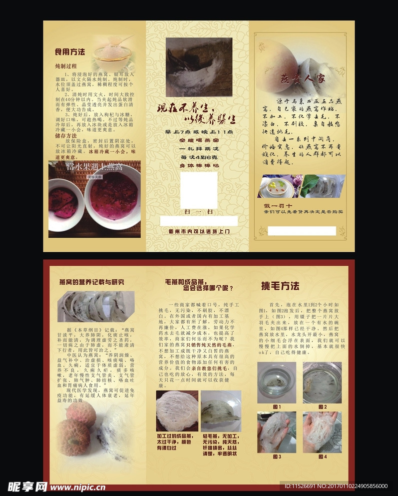 燕窝三折页