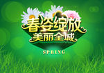 春姿绽放