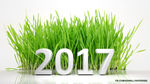 2017字体设计