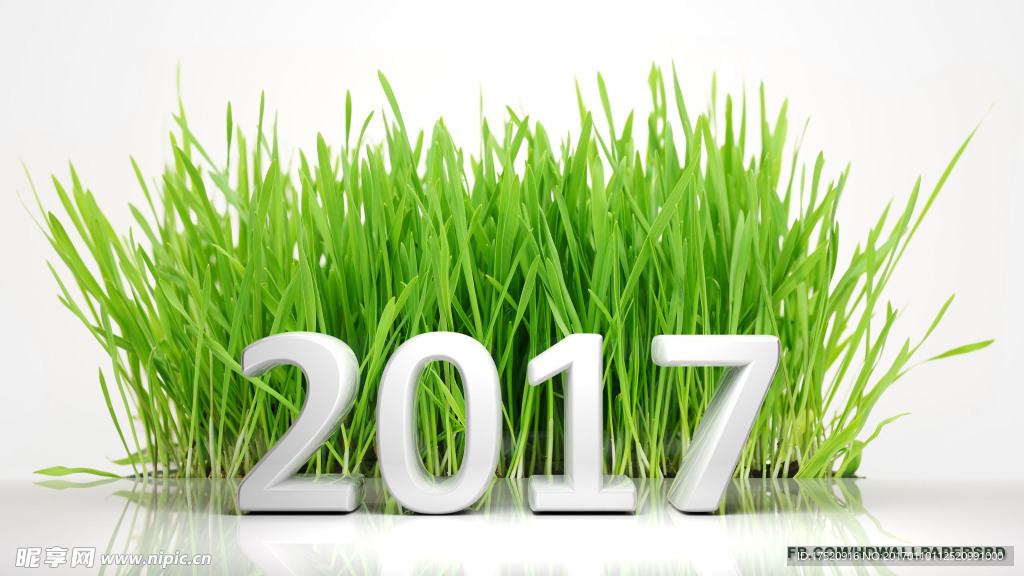 2017字体设计