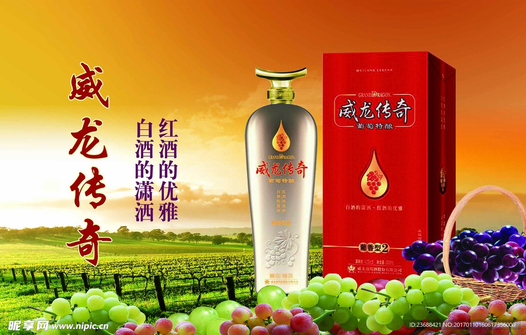 威龙传奇