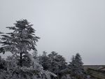 冬天