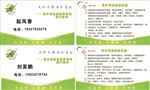 万年青名片