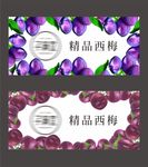 西梅图片 海报