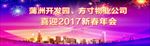 物业公司2017迎春年会
