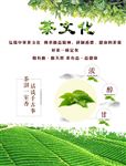 茶文化