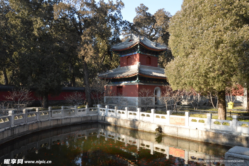 冬日植物园