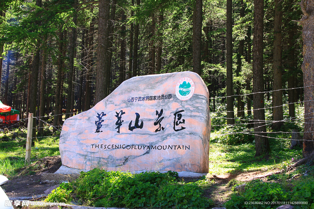 山西芦芽山 马侖草原