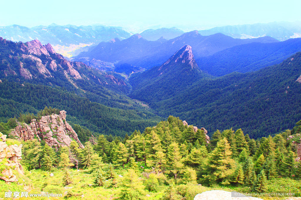 山西芦芽山 马侖草原