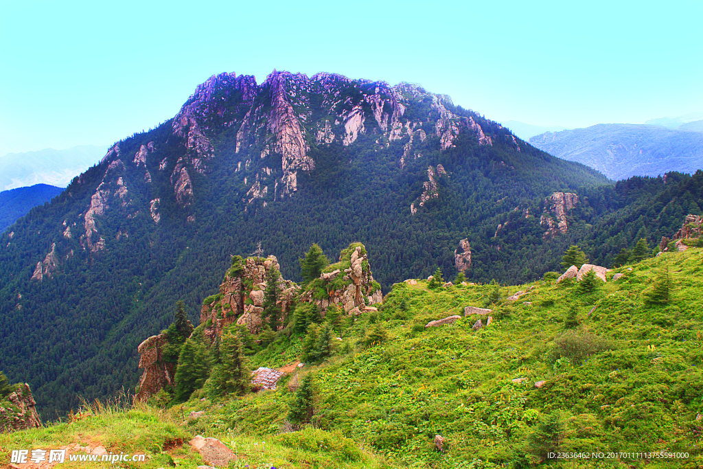 山西芦芽山 马侖草原