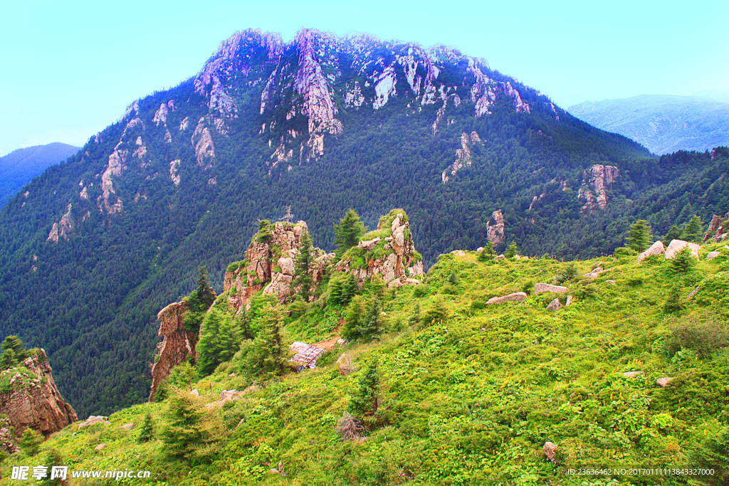 山西芦芽山 马侖草原