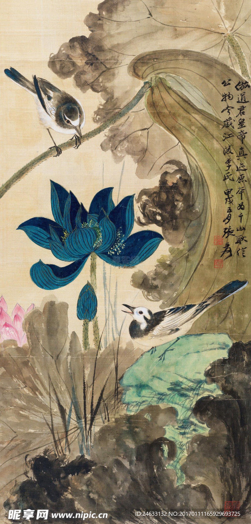 张大千国画花鸟荷花