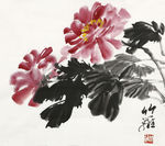 牡丹