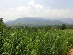 太室山