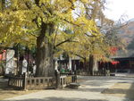 法王寺秋色