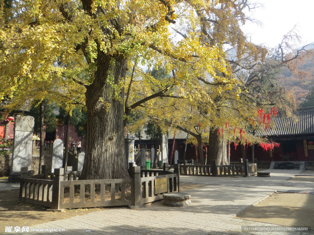 法王寺秋色