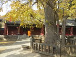 法王寺秋景