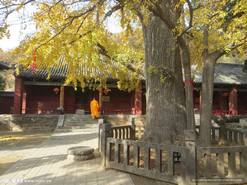 法王寺秋景