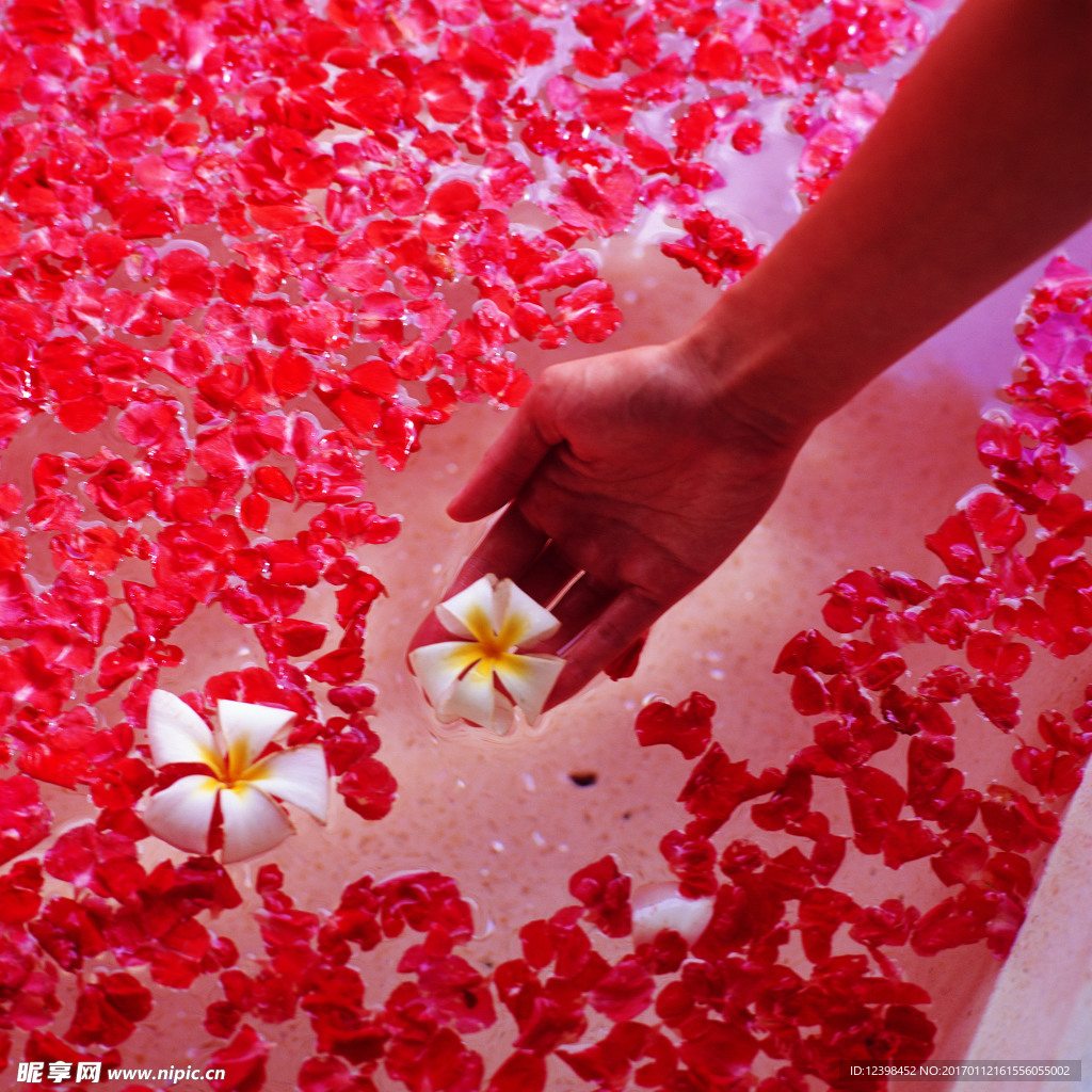 玫瑰花瓣