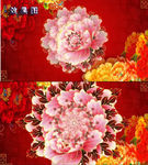 大气牡丹绚丽花环视频高清背景