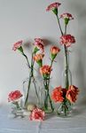 插花