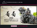 葡萄海报