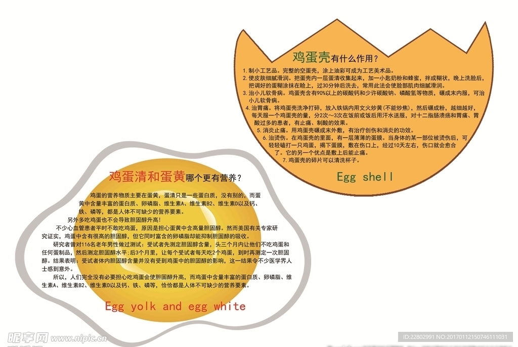 校园文化