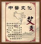 中医文化