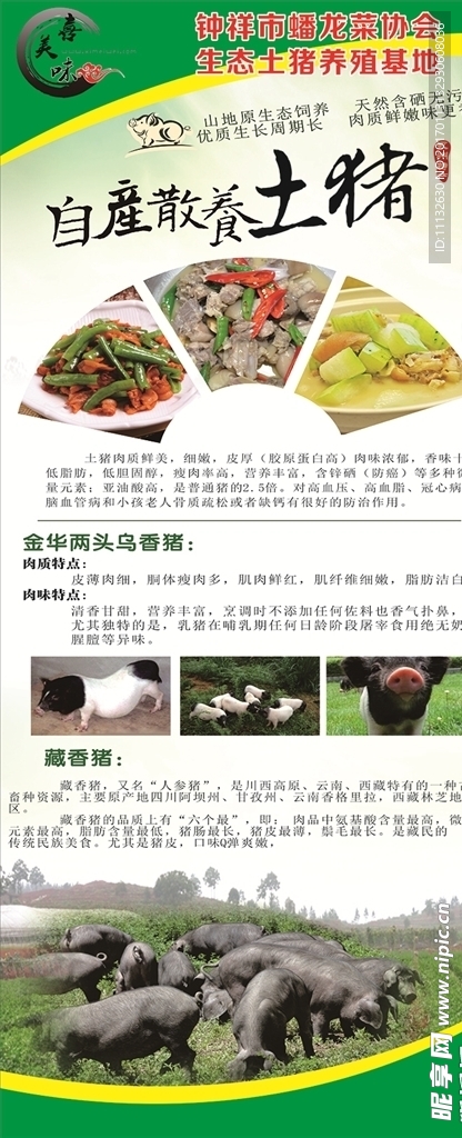 自养土猪展架