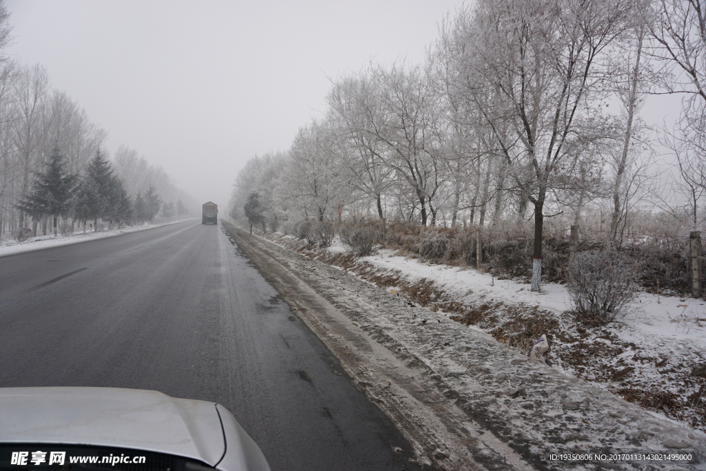 雾 树挂 公路