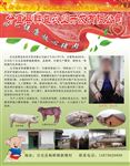 农牧开发公司广告
