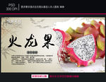 火龙果海报