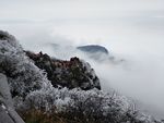 金顶