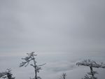 云海