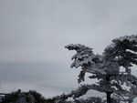 云海