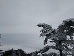 金顶看云海
