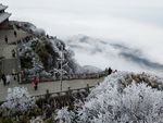 金刚嘴云海