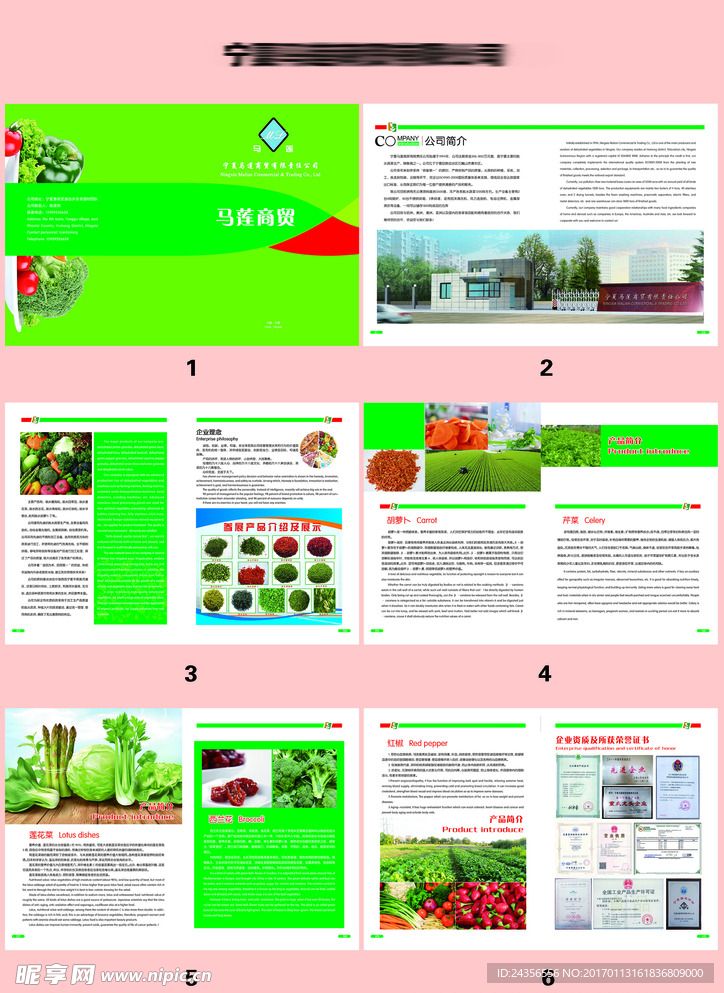 绿色蔬菜商贸中英文宣传画册