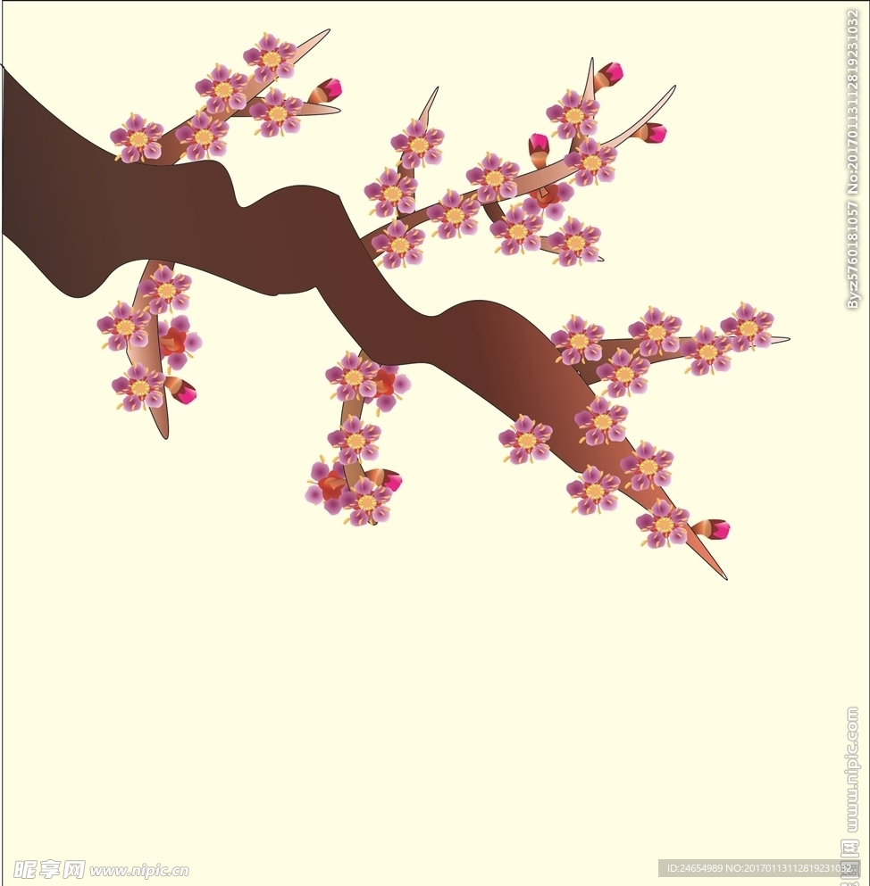 梅花 风景