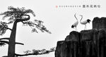 松鹤延年
