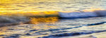 海