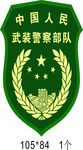 武警部队臂章