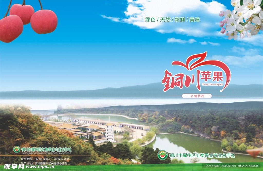 果业封皮